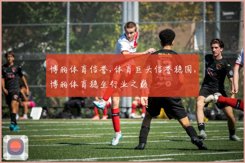 博狗体育信誉,体育巨头信誉稳固,博狗体育稳坐行业之巅