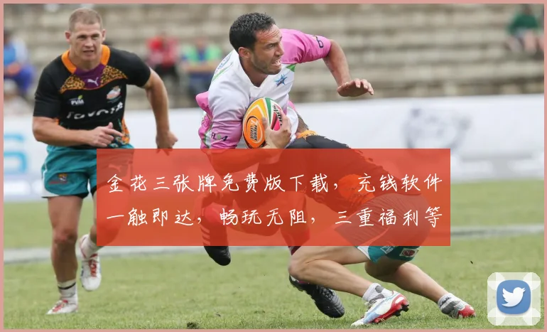 金花三张牌免费版下载，充钱软件一触即达，畅玩无阻，三重福利等你来